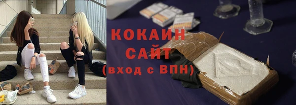 прущие грибы Ахтубинск