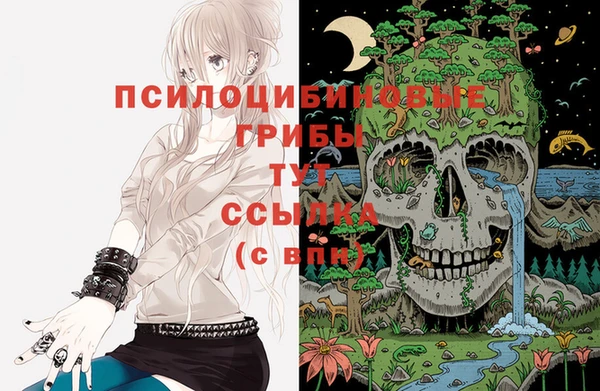 ALPHA PVP Нягань